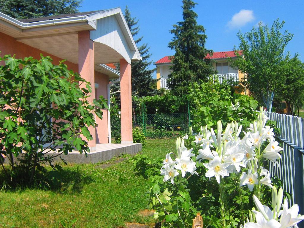 Feszek Apartmanhaz Vonyarcvashegy Buitenkant foto