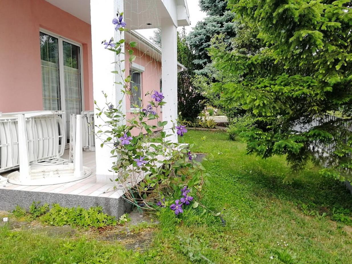 Feszek Apartmanhaz Vonyarcvashegy Buitenkant foto