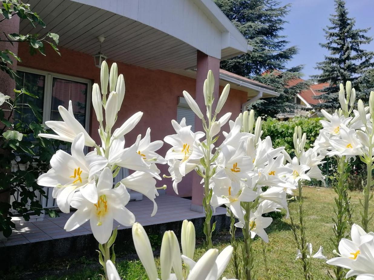 Feszek Apartmanhaz Vonyarcvashegy Buitenkant foto