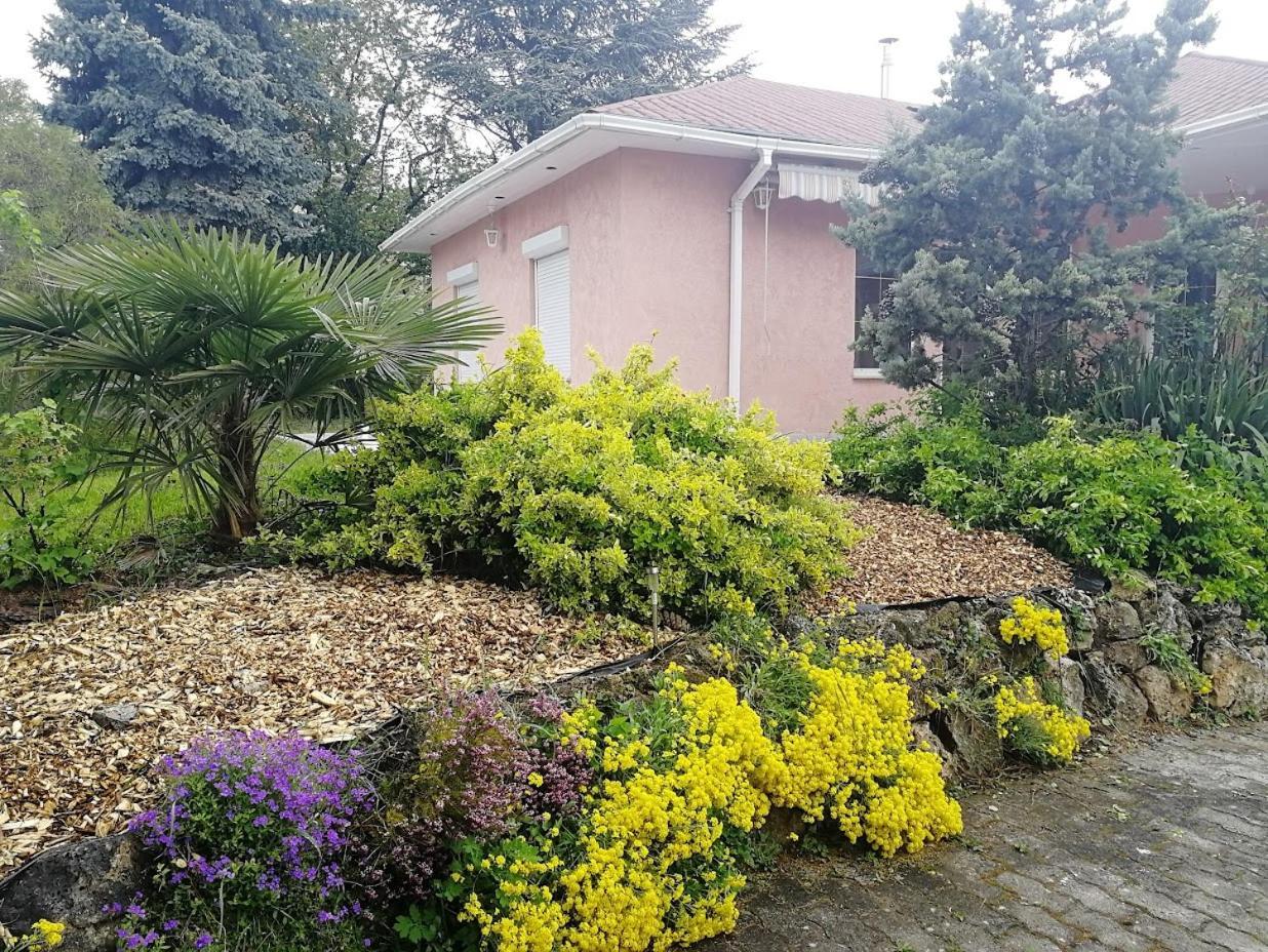 Feszek Apartmanhaz Vonyarcvashegy Buitenkant foto